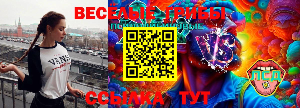 Псилоцибиновые грибы GOLDEN TEACHER Курчалой
