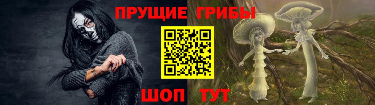 Курчалой  Галлюциногенные грибы Magic Shrooms  Вход с VPN 